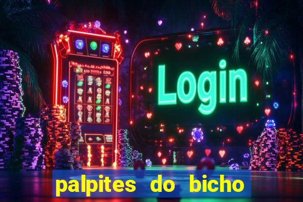 palpites do bicho no celular